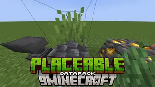 Placeable Data Pack (1.21.1, 1.20.1) – Plant Anything, Anywhere