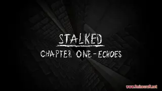Stalked: Chapter One Map (26.2, 1.20.1) – Echoes