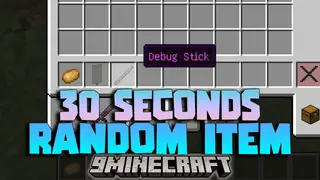 30 Seconds Random Item Data Pack (1.21.1, 1.20.1) – Surprise Items Every Interval