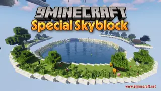 Special Skyblock Map (26.2, 1.20.1) – Hardcore Survival