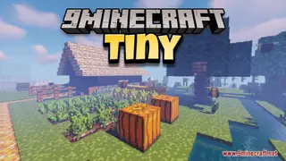 Tiny Map (26.2, 1.20.1) – Thriving at Two Pixels Tall