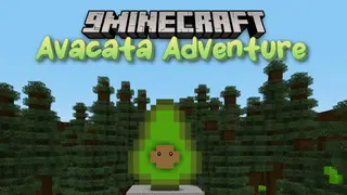 Avacata Adventure Map (26.2, 1.20.1) – The Avocado Quest