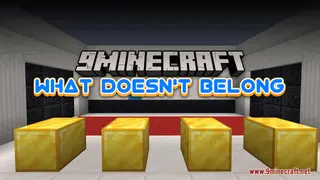 What Doesn't Belong Map (26.2, 1.20.1) – A Trivia Challenge