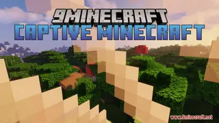 Captive Minecraft Map (26.2, 1.20.1) – Into The New World