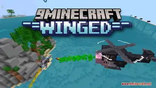 Winged Map (26.2, 1.20.1) – Battles In The Sky!