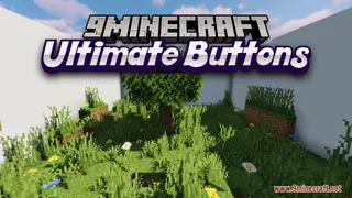 Ultimate Buttons Map (26.2, 1.20.1) – Not Just Button Finding