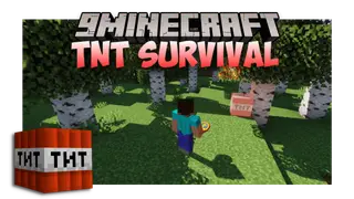 TNT Survival Map (26.2, 1.20.1) – Watch Out For The TNT!