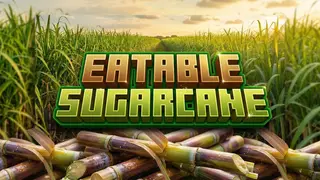 Eatable SugarCane Addon (1.21) – MCPE/Bedrock