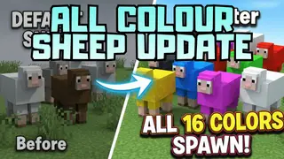 All Colour Sheep Update Addon (1.21) – MCPE/Bedrock