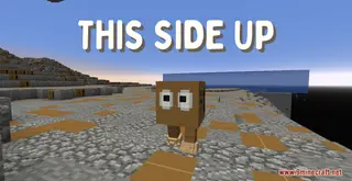 This Side Up Map (26.2, 1.20.1) – Not A Normal Day For the Delivery Man