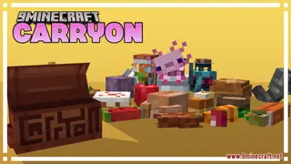 Carryon Resource Pack (1.21.1, 1.20.1) – Texture Pack