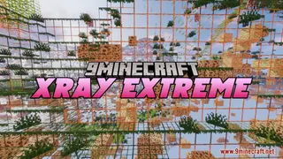 XRay Extreme Resource Pack (1.21.1, 1.20.1) – Texture Pack