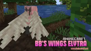 BB's Wings Elytra Resource Pack (1.21.1, 1.20.1) – Texture Pack