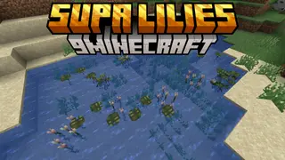 Supa Lilies Resource Pack (1.21.1, 1.20.1) – Texture Pack