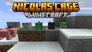 Nicolas Cage Resource Pack (1.21.1, 1.20.1) – Texture Pack
