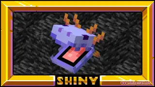 Shiny's Axolotls Resource Pack (1.21.1, 1.20.1) – Texture Pack