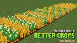 Better Crops Resource Pack (1.21.1, 1.20.1) – Texture Pack