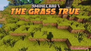 The Grass True Resource Pack (1.21.1, 1.20.1) – Texture Pack