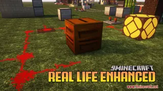 Real Life Enhanced Resource Pack (1.21.1, 1.20.1) – Texture Pack