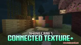Connected Texture+ Resource Pack (1.21.1, 1.20.1) – Texture Pack