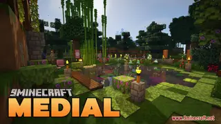 Medial Resource Pack (1.21.1, 1.20.1) – Texture Pack