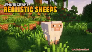 Realistic Sheeps Resource Pack (1.21.1, 1.20.1) – Texture Pack