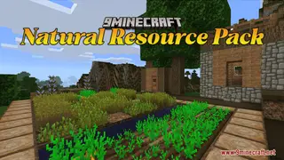 Natural Resource Pack (1.21.1, 1.20.1) – Texture Pack