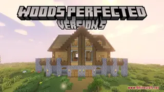 Woods Perfected Resource Pack (1.21.1, 1.20.1) – Texture Pack