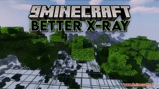 Better X-Ray Resource Pack (1.21.1, 1.20.1) – Texture Pack