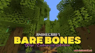 Bare Bones – Flux Enhanced Addon Resource Pack (1.21.1, 1.20.1) – Texture Pack