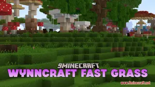 Wynncraft Fast Grass Resource Pack (1.21.1, 1.20.1) – Texture Pack