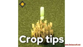 Crop Tips Resource Pack (1.21.1, 1.20.1) – Texture Pack