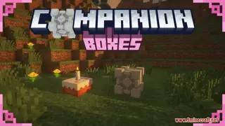 Companion Boxes Resource Pack (1.21.1, 1.20.1) – Texture Pack