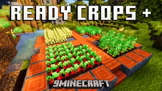 Ready Crops Plus Texture Pack (26.x, 1.21) – Glowing Animations For Fully Grown Farm Crops