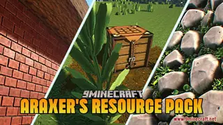 Araxer's Resource Pack (1.21.1, 1.20.1) – Texture Pack
