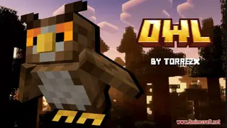 Owl Resource Pack (1.21.1, 1.20.1) – Texture Pack