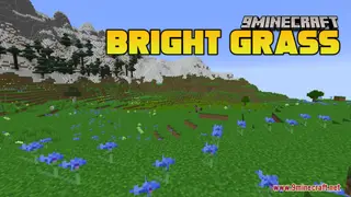 Bright Grass Resource Pack (1.21.1, 1.20.1) – Texture Pack