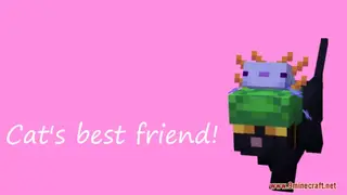 Cat's Best Friend Resource Pack (1.21.1, 1.20.1) – Texture Pack