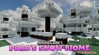Para's Snow Biome Resource Pack (1.21.1, 1.20.1) – Texture Pack