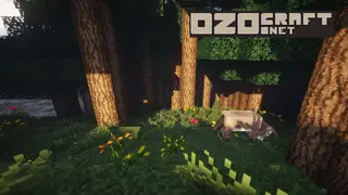 OzoCraft Resource Pack (1.21.1, 1.20.1) – Texture Pack