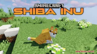 Shiba Inu Resource Pack (1.21.1, 1.20.1) – Texture Pack
