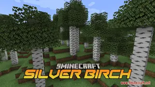 Silver Birch Resource Pack (1.21.1, 1.20.1) – Texture Pack