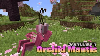 Orchid Mantis Resource Pack (1.21.1, 1.20.1) – Texture Pack