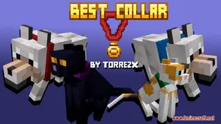 Best Collar Resource Pack (1.21.1, 1.20.1) – Texture Pack