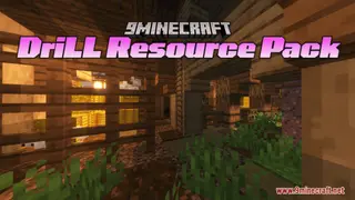 DriLL Resource Pack (1.21.1, 1.20.1) – Texture Pack