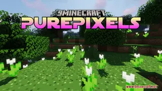 PurePixels Resource Pack (1.21.1, 1.20.1) – Texture Pack