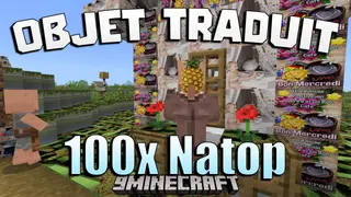 Objet Traduit 100x Natop Texture Pack (1.21) – Chaotic 100x Translated Textures