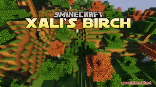 Xali's Birch Resource Pack (1.21.1, 1.20.1) – Texture Pack
