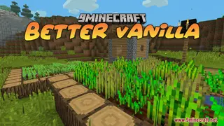 Better Vanilla Resource Pack (1.21.1, 1.20.1) – Texture Pack