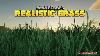 Realistic Grass Resource Pack (1.21.1, 1.20.1) – Texture Pack